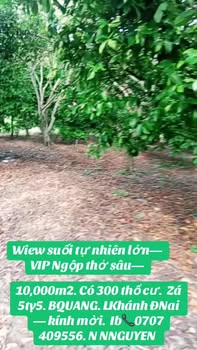 Đất vườn Bảo Quang Long Khánh 20.000m² - Nghỉ dưỡng lý tưởng!