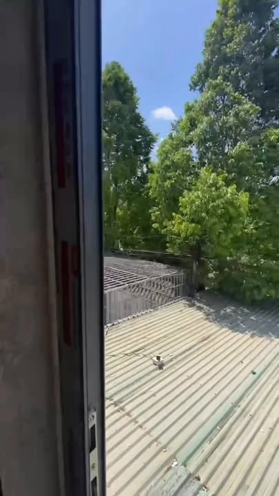 Nhà Mặt Tiền Lê Lợi, Quận 1 - 260m² Kinh Doanh Đỉnh, Có Nhà Yến Tiềm Năng