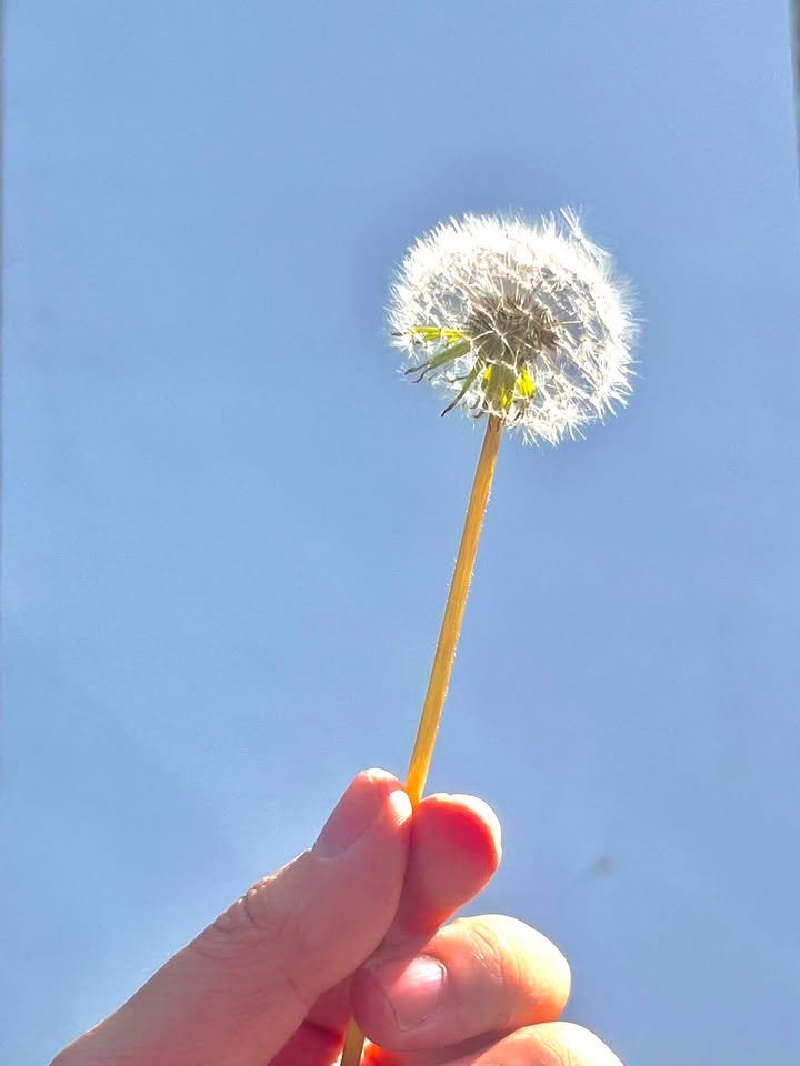 Đất nền Ia Yok, Ia Grai 180m² - Sổ đỏ chính chủ, giá tốt!