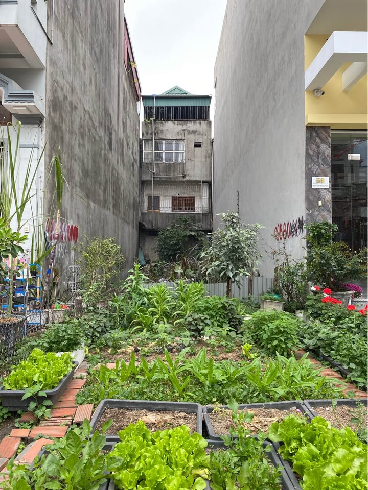 Đất nền Cẩm Phả 72m² - Sổ đỏ chính chủ, tiềm năng đầu tư!