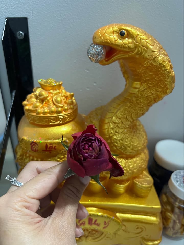 Bán đất Châu Thành Tây Ninh 195m² chỉ 355 triệu - Sổ hồng sẵn