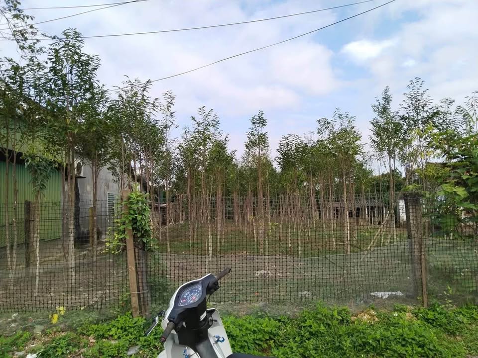 Đất nền Hương Trà Hương Khê 408m² giá 1.8 tỷ - Sổ đỏ chính chủ