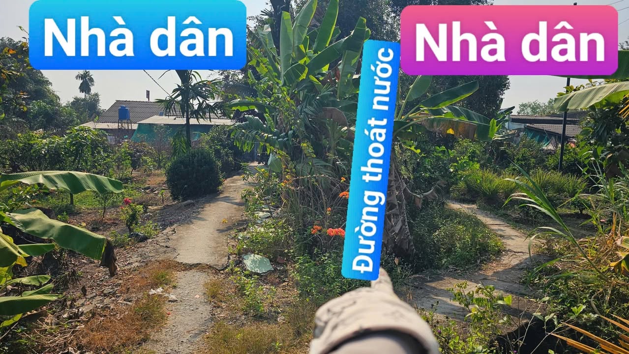 Đất nền Tân Thành, Thủ Thừa 516m² - Sổ đỏ chính chủ, giá 450 triệu!