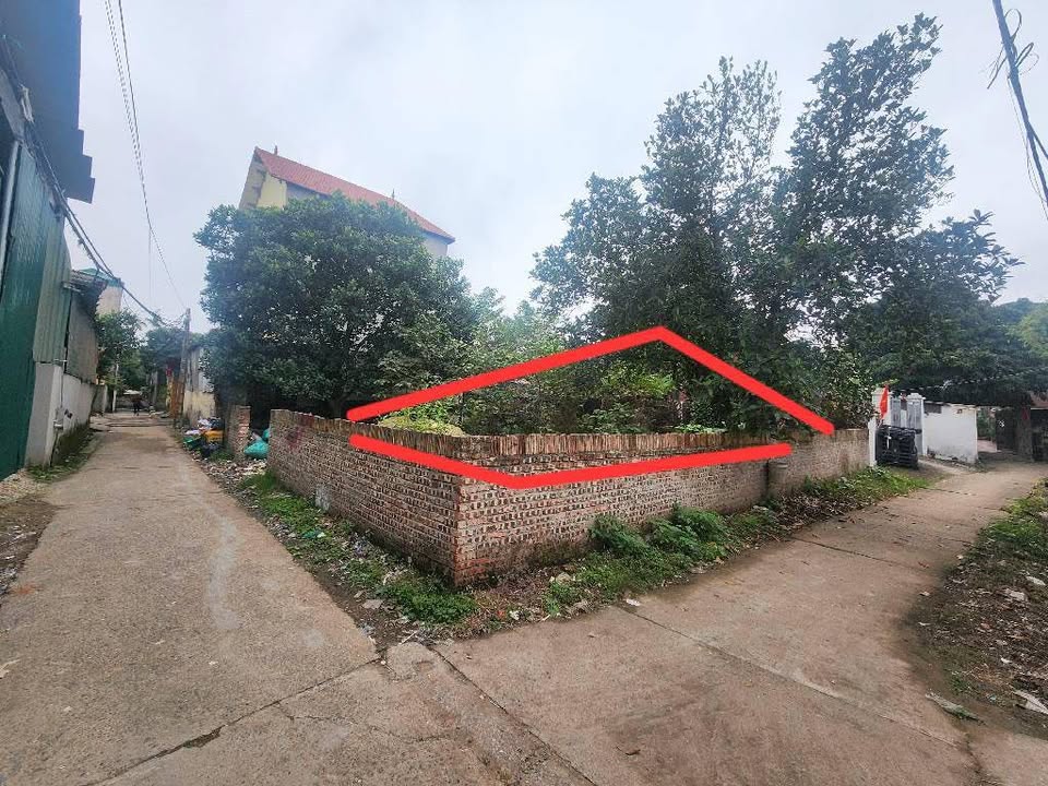 Đất nền Song Liễu, Thuận Thành 78m² - Lô góc, ô tô thông bàn cờ