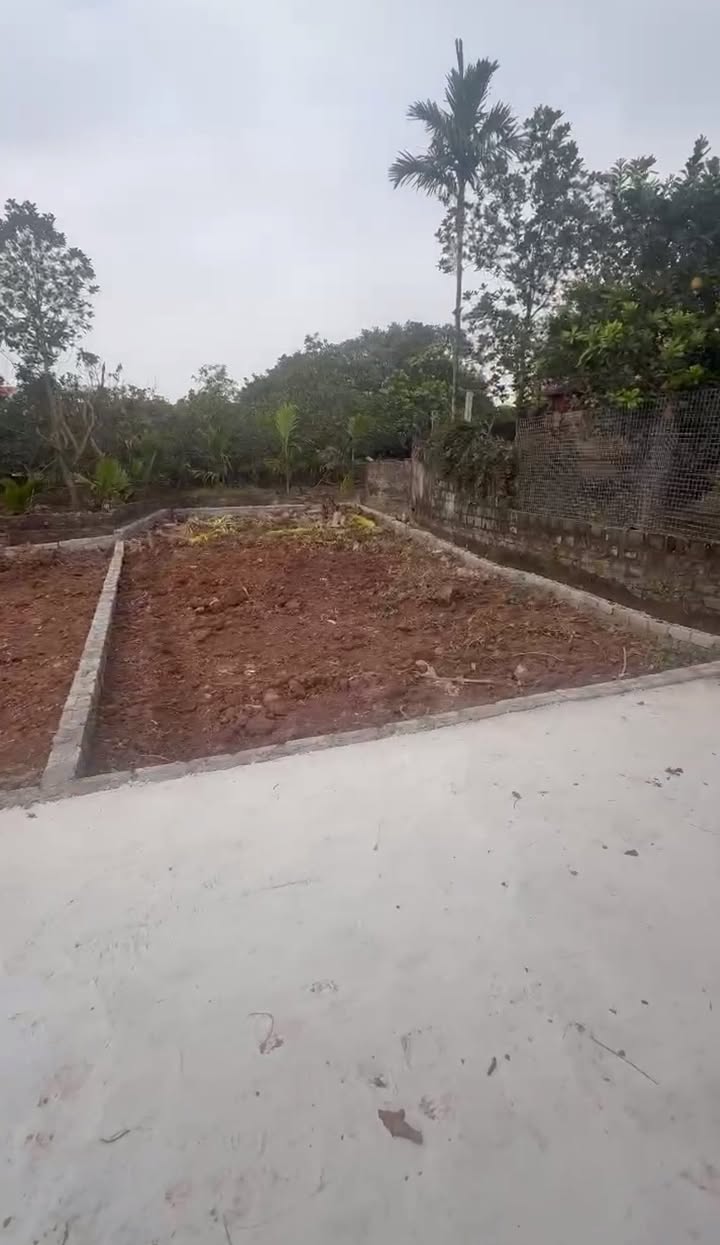 Đất Nền Bạch Hạ Phú Xuyên 80m² - Tiềm Năng Tăng Giá Vượt Trội!