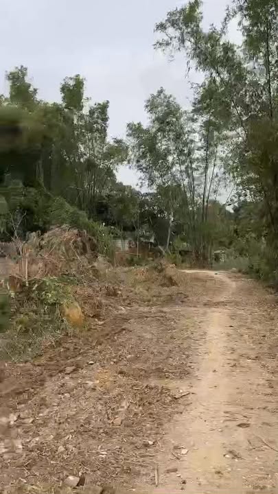 Bán đất Ninh Giang Hoa Lư 5000m² - Tiềm năng tăng giá cực cao!