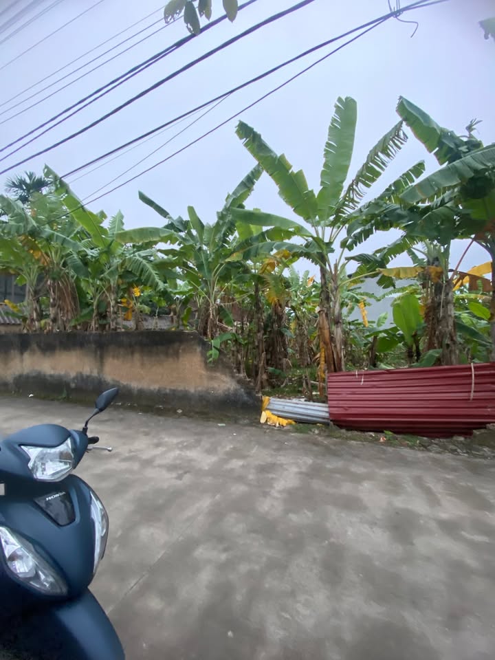 Đất nền P. Tân An, TP. Bắc Giang 140m² giá 30 tỷ - Sổ đỏ chính chủ!