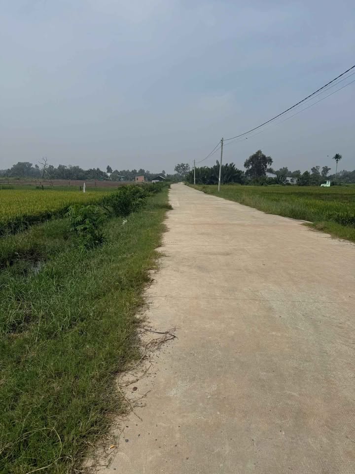 Bán Đất Vườn Long An 1000m² Sổ Hồng Chính Chủ - Giá Tốt 350 Triệu