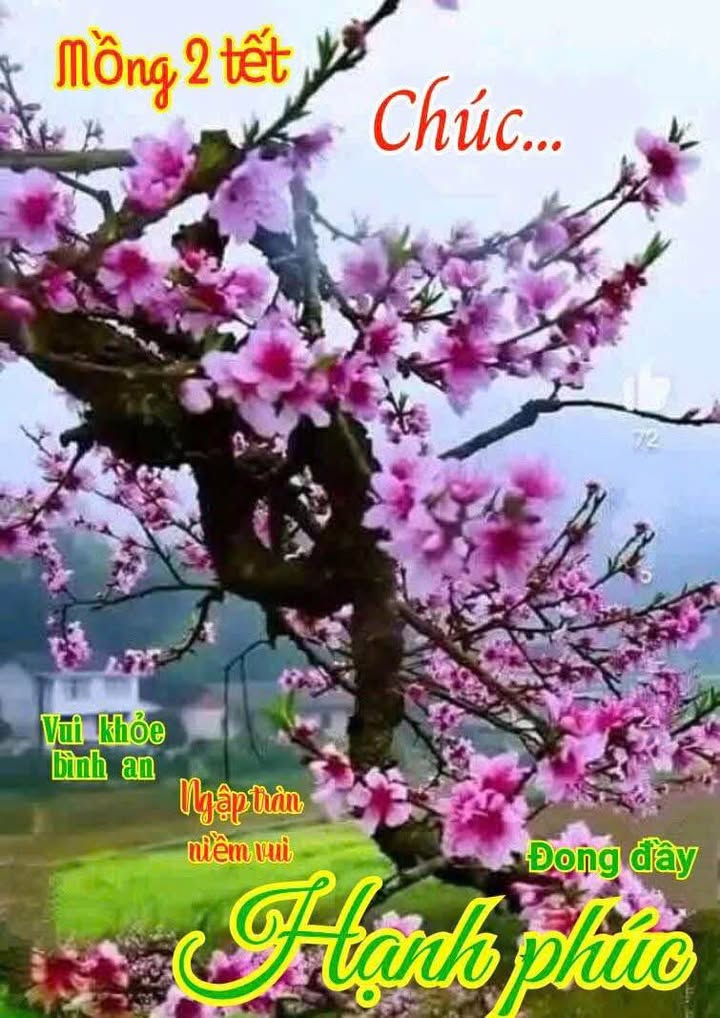 Nhà Phố Vũng Tàu 110m² - Vị trí đắc địa, kinh doanh sầm uất!