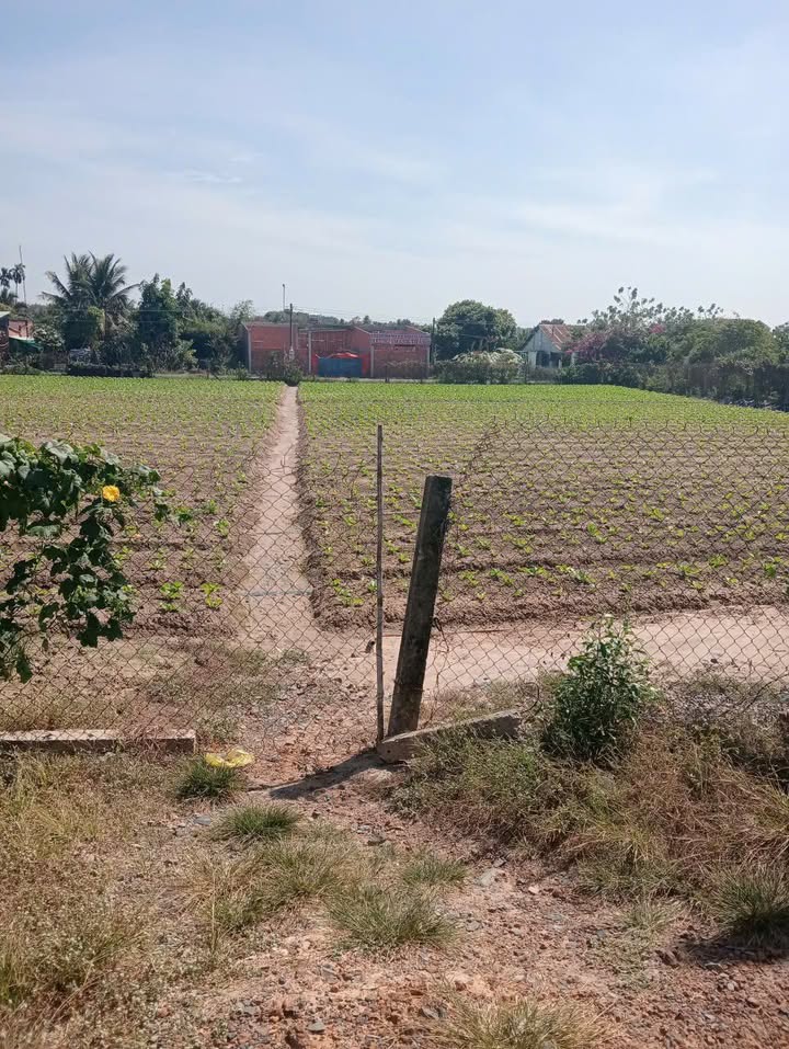 Đất Nền Phường Long Hoa 420m² Giá 129 Triệu/m Ngang - Vị Trí Đẹp!