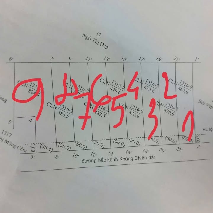 Đất Nền Tiền Giang 380tr/nền - Sổ Hồng Cây Lâu Năm Tại Tân Phước