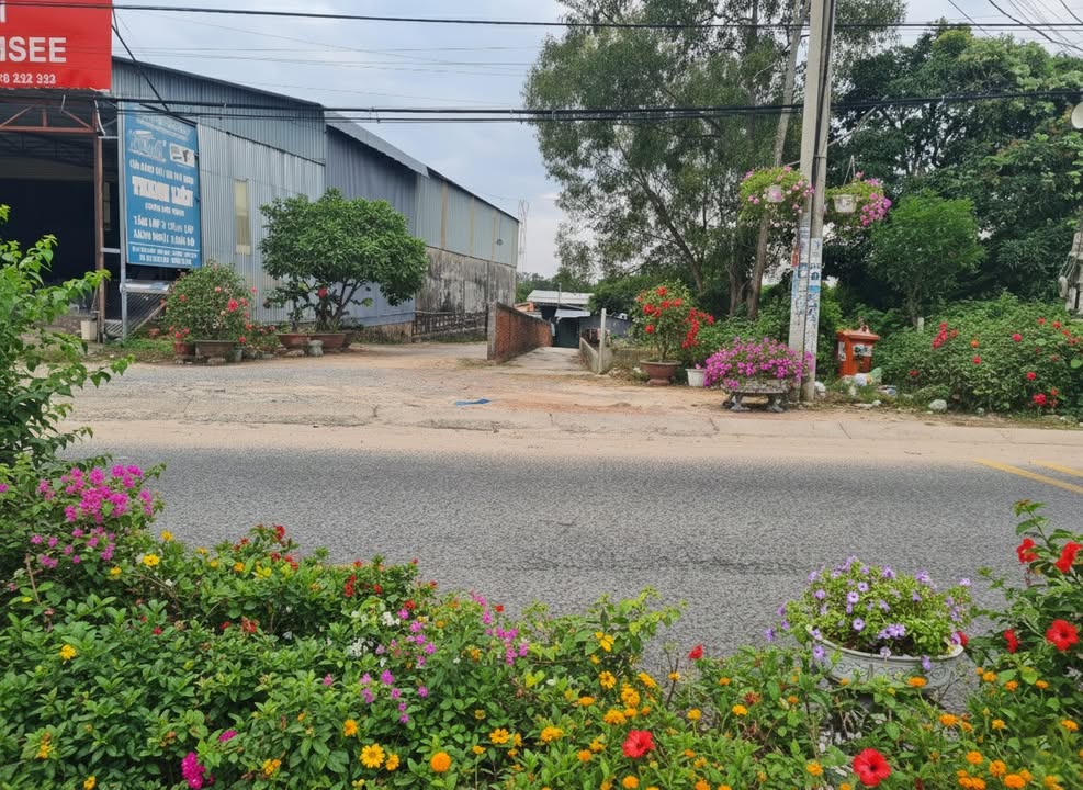 Đất Đặc Khu Phú Quốc 12.000m² - Giá Giảm 30% Đầu Năm