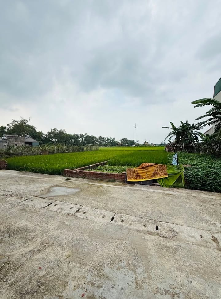 Đất Nền Đông Anh 150m² - Lô Góc 2 Mặt Tiền Đường 7m, Giá 9 Tỷ