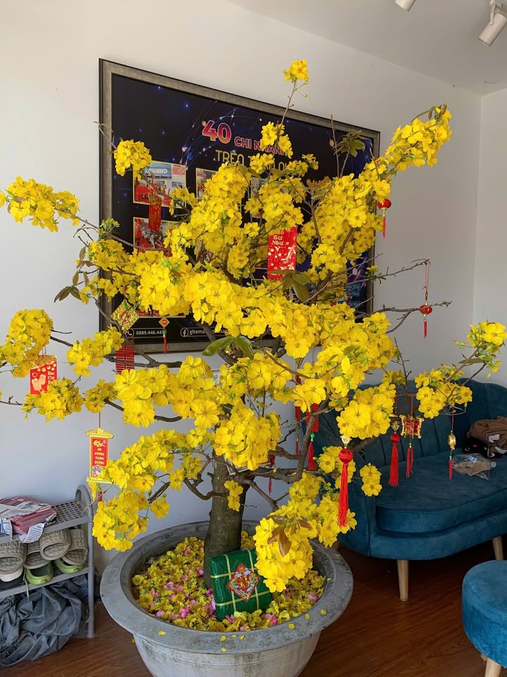 Đất thổ cư Bình Thuận 125m² - Sổ đỏ chính chủ, giá đầu tư