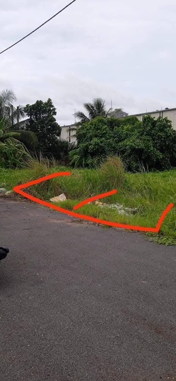 Đất nền Bến Lức 100m² – Giá 1.5 tỷ, Tiềm năng tăng giá!