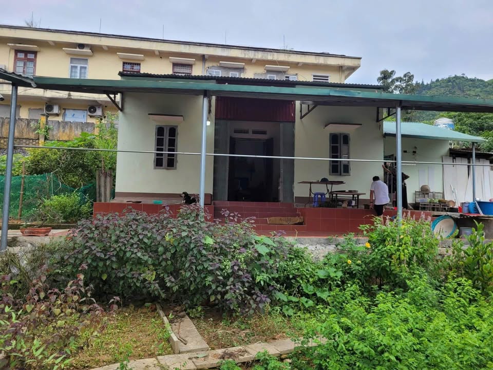 Bán nhà vườn Mường Khương Lào Cai 500m² giá 830 triệu - Nghỉ dưỡng lý tưởng!