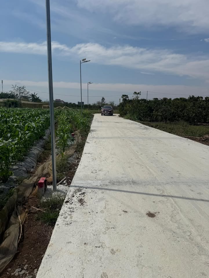 Đất nền Tân Hội Đức Trọng 357m² giá 900 triệu - Sổ đỏ chính chủ