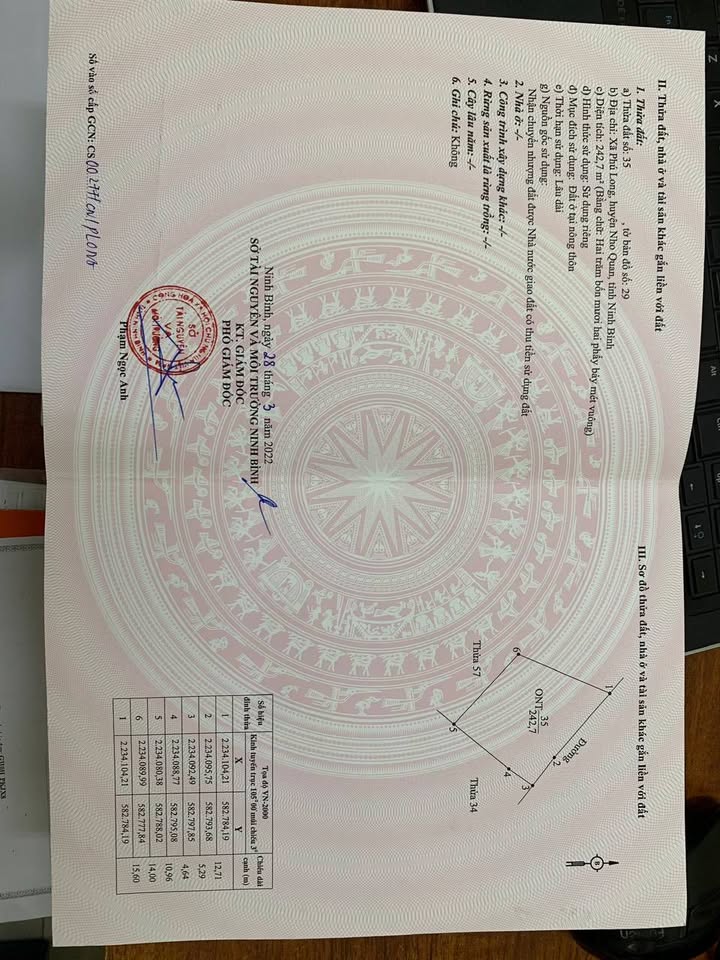 Đất nền Nho Quan Ninh Bình 242m² giá 1.5 tỷ - Sổ đỏ chính chủ