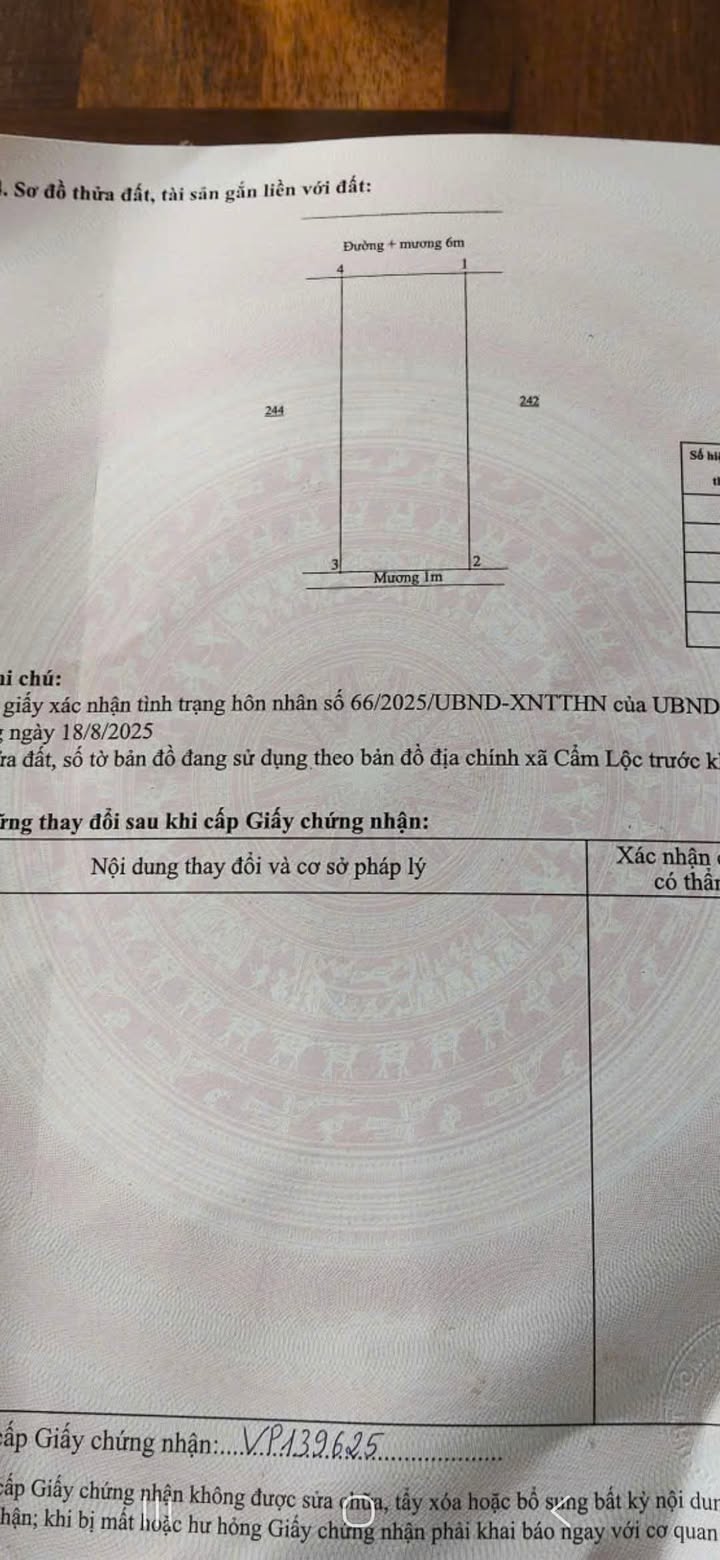 Đất nền Cẩm Trung, Cẩm Xuyên 160m² - Đất thổ cư 100%