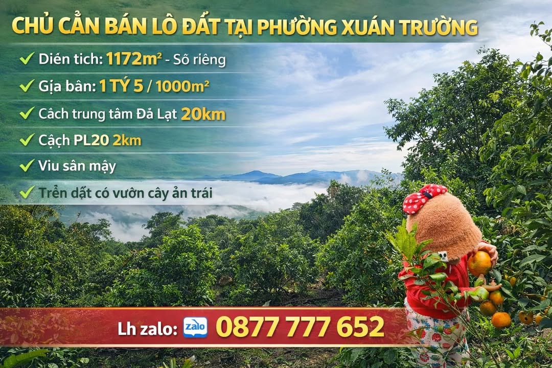 Bán Đất Đà Lạt 1.172m² Sổ Riêng - View Săn Mây Đỉnh Cao