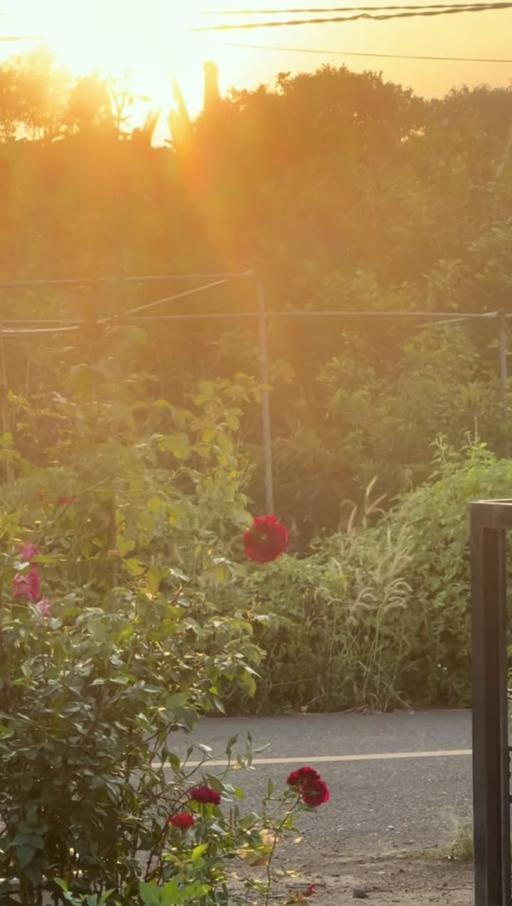 Nhà An Thạnh Thuận An 4.5 triệu/tháng - Ô tô vào tận nhà!