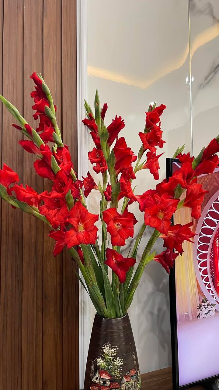 Đất TMDV Trường An TP Hải Dương 905m² - Tiềm năng tăng giá vượt trội!