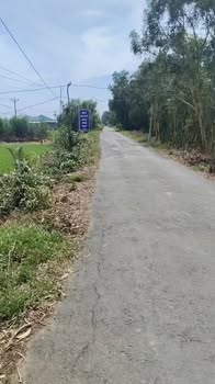 Đất Ruộng Tân Phước, Tiền Giang 30.000m² - Tiềm năng tăng giá!