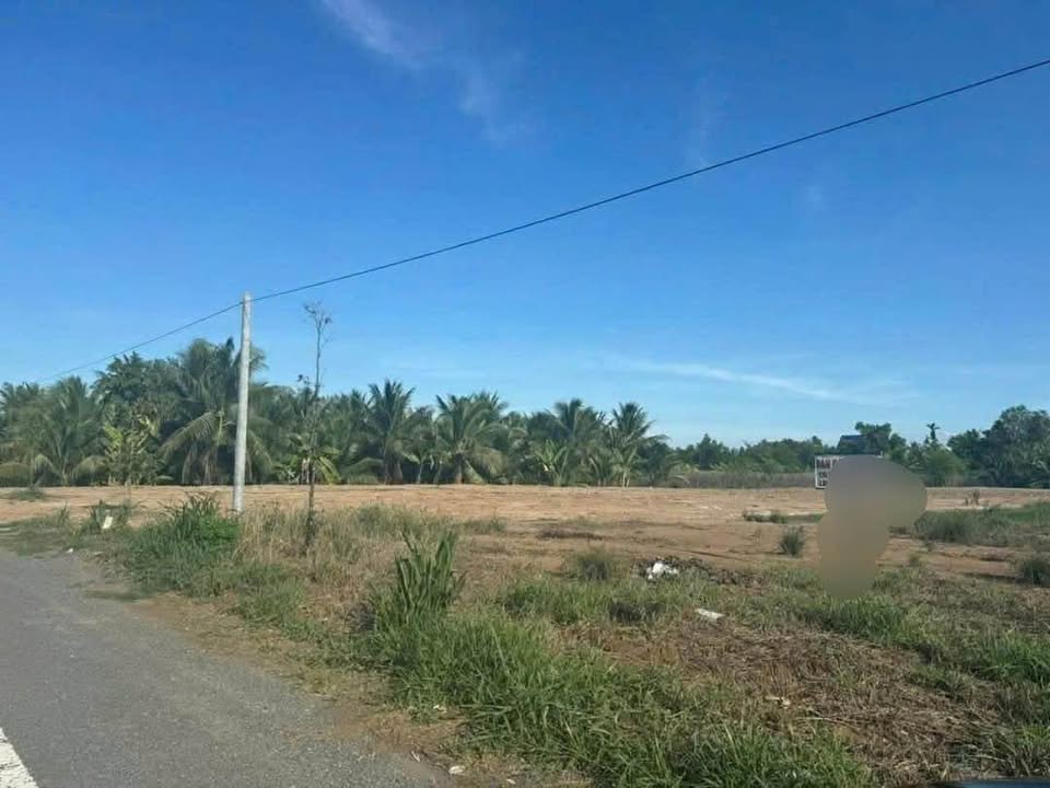 Bán đất Hữu Định Bến Tre 3520m² - Mặt tiền TL 173 đường Container