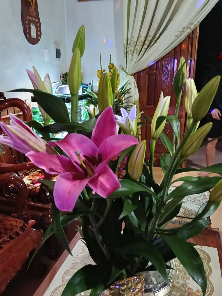 Bán Đất Xã Ea Hồ, Krông Năng 800m² - Sổ Đỏ Chính Chủ, Giá Tốt Đầu Tư