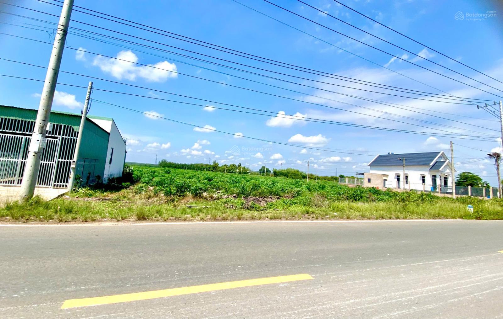 Bán Gấp Đất Vàng 2290m² MT Quốc Lộ 13 - Sổ Riêng, Sẵn Sàng Xây Dựng