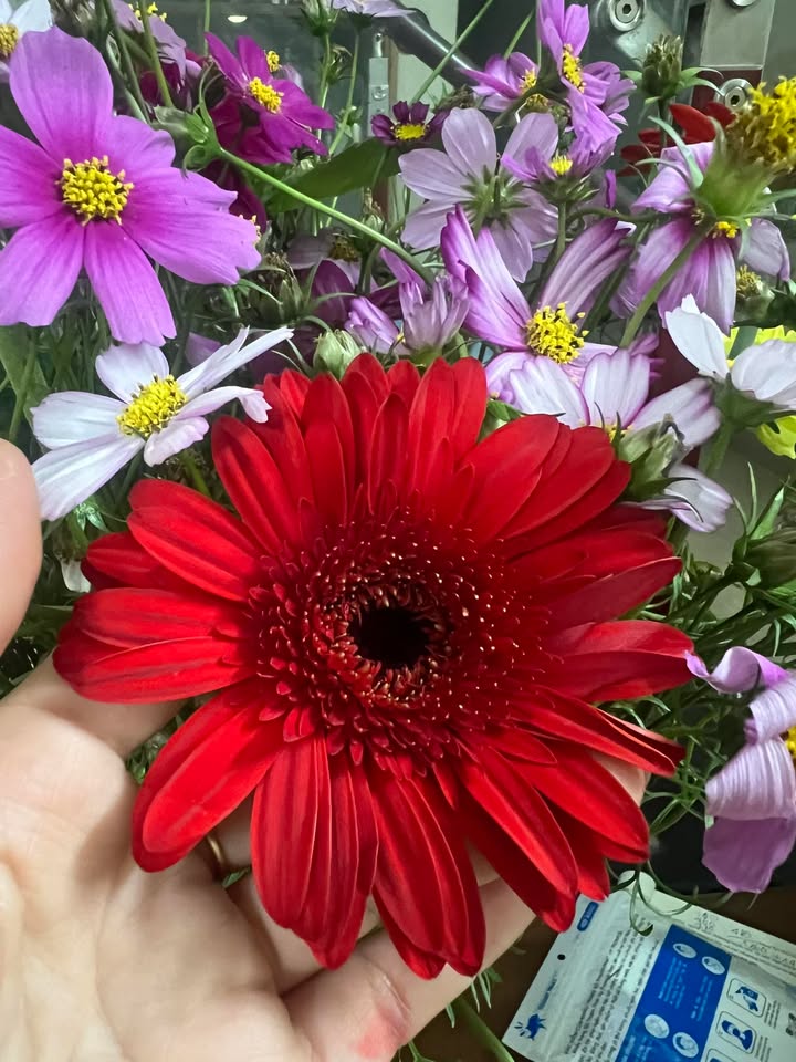 Căn hộ HUD Bắc Ninh 1PN giá 7.5 triệu - Sẵn sàng vào ở ngay!