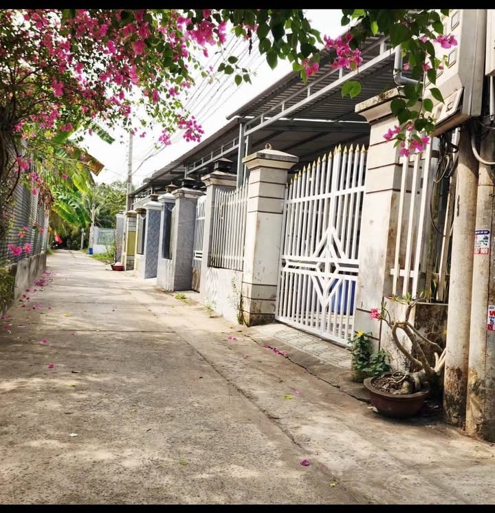 Nhà riêng Phú Khương Bến Tre 117.8m² - Giá tốt hiếm có!