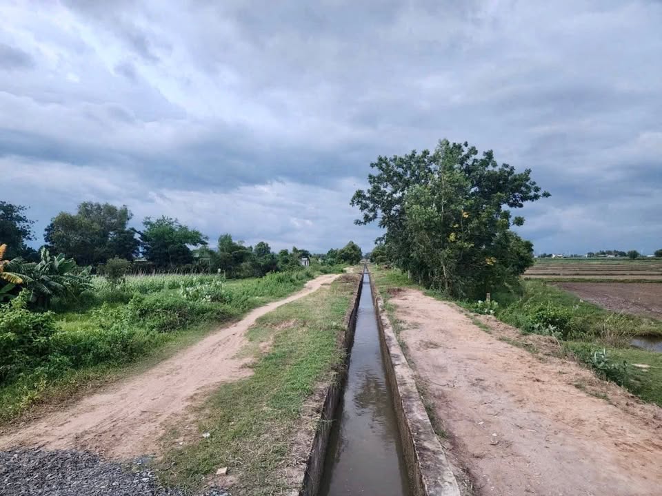 Đất Vườn Tuy Phong 1300m² - Mặt Tiền Kênh N17, Giá 3.79 Tỷ