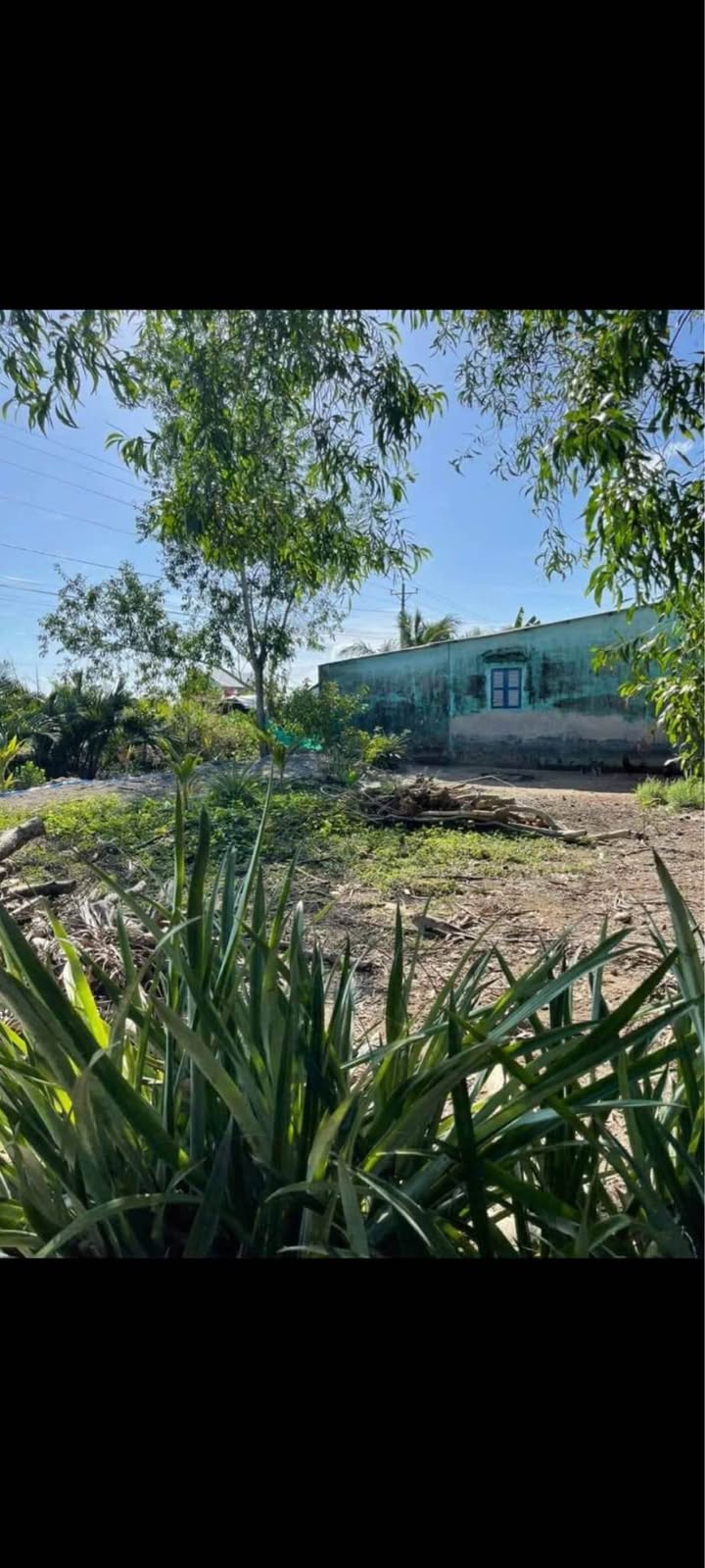 Đất nền Xã Khánh An, U Minh 597.4m² - Sổ đỏ chính chủ!