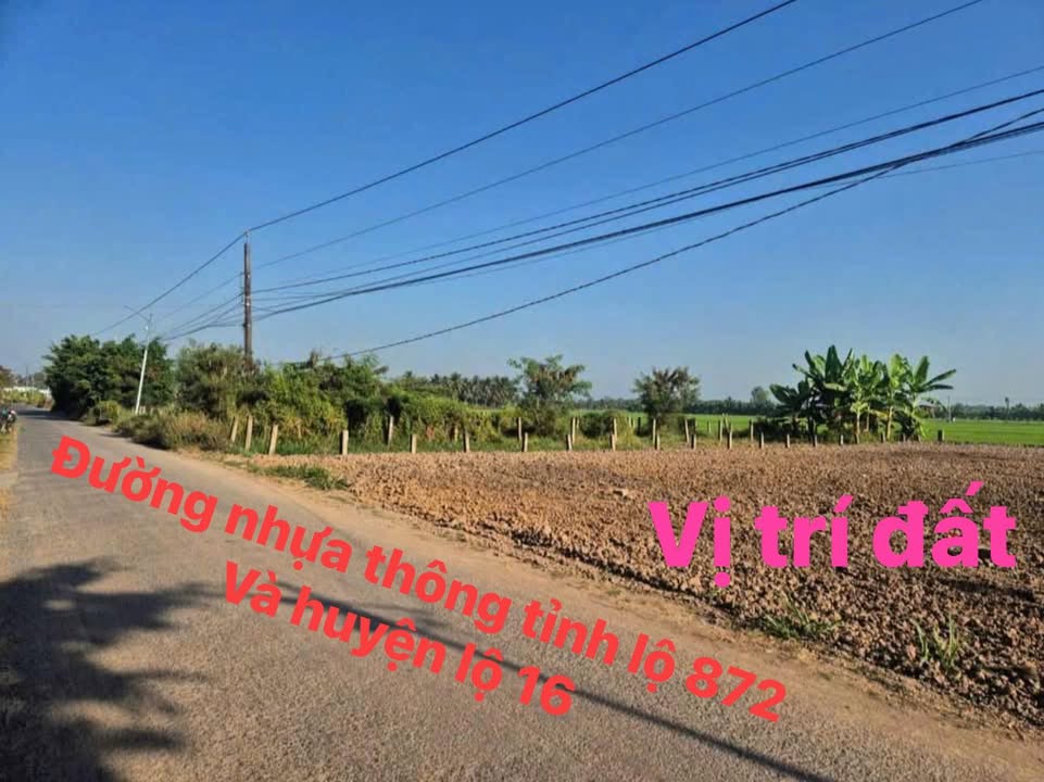 Đất nền Gò Công Tây 156m² giá 420 triệu - Vị trí đẹp giá tốt hiếm có!