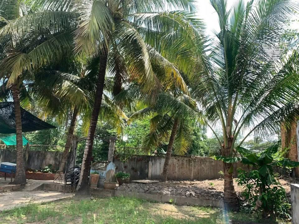 Đất nền Vĩnh Long 1276m² giá 19.14 tỷ - Tiềm năng tăng giá!