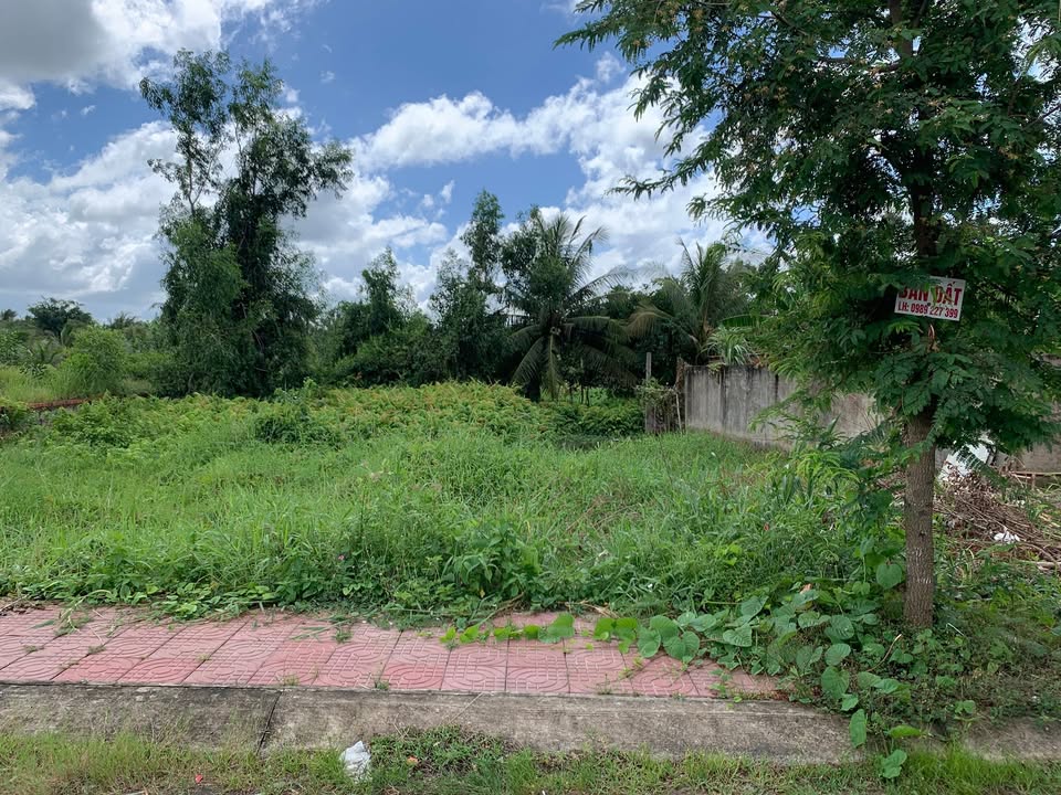 Mặt Tiền Kinh Doanh Xã Tân Hòa, Vĩnh Long - Ngang 12m, Giá Thỏa Thuận