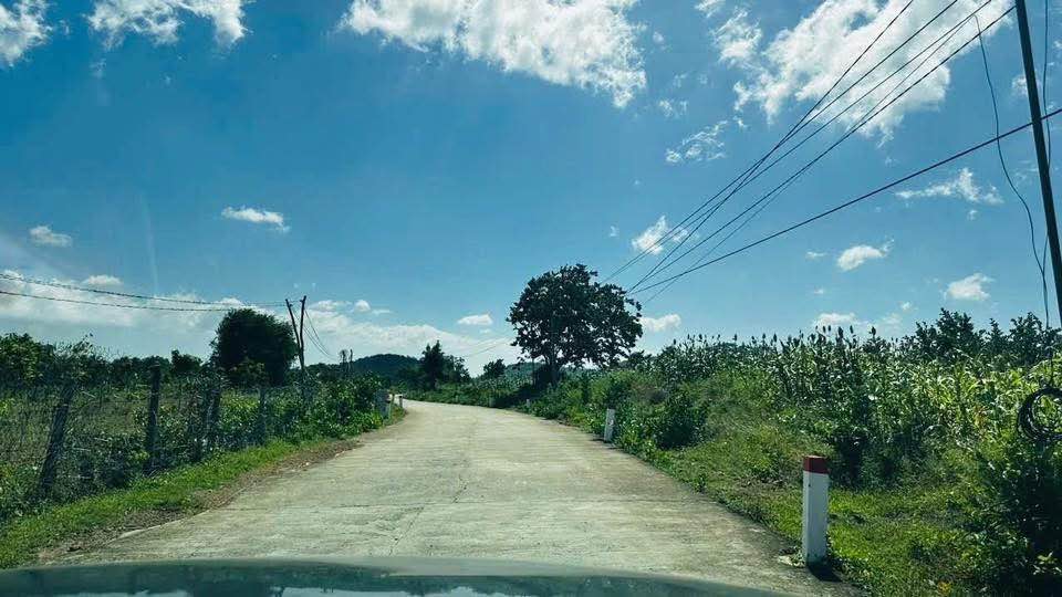 Đất vườn Mỹ Sơn Diên Khánh 14.000m² giá 3.3 tỷ - Nghỉ dưỡng lý tưởng!