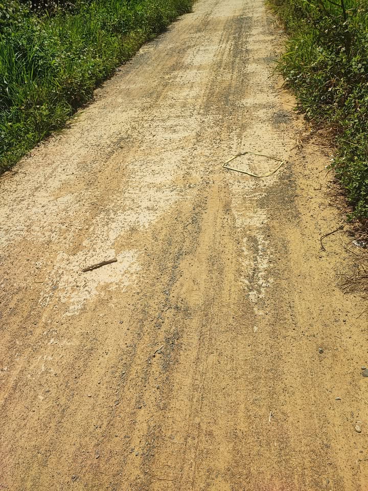 Đất vườn Hòa Nam Di Linh 5460m² giá 1.55 tỷ - Nghỉ dưỡng lý tưởng!