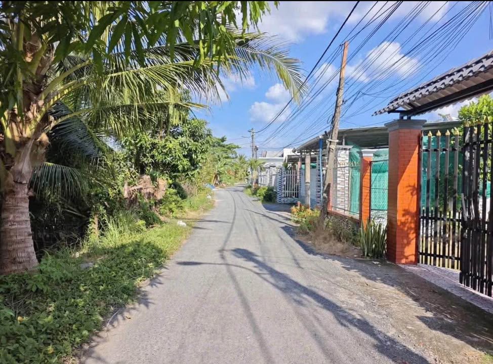 Nhà mặt tiền Long Hồ 253.7m² - Vị trí kinh doanh đỉnh cao!