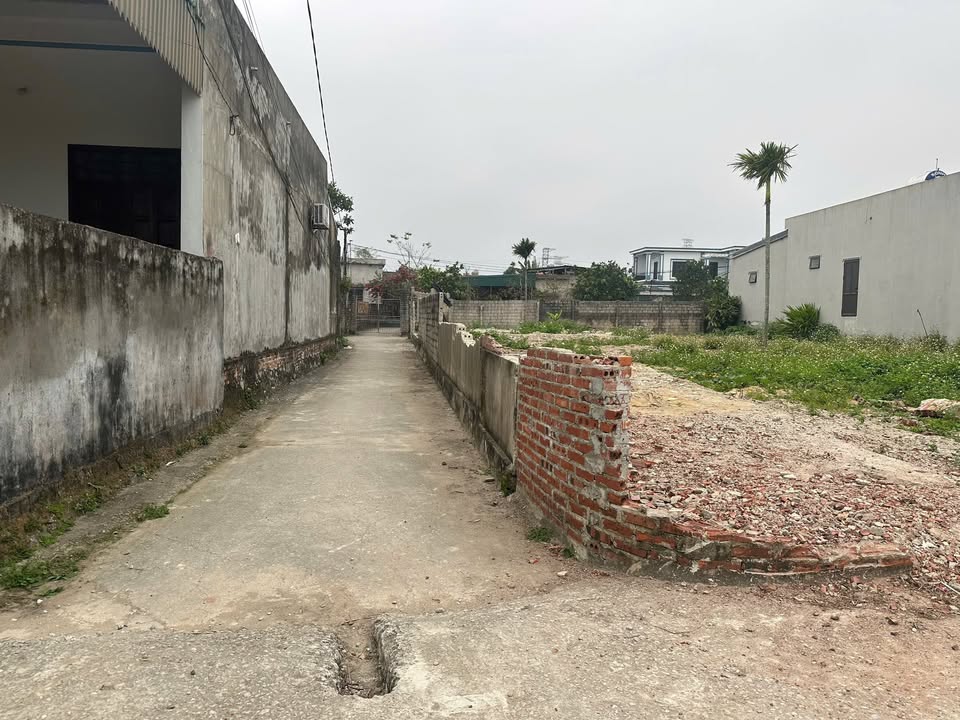 Đất nền Sầm Sơn 100m² giá 800 triệu - Lô góc 2 mặt tiền cực đẹp