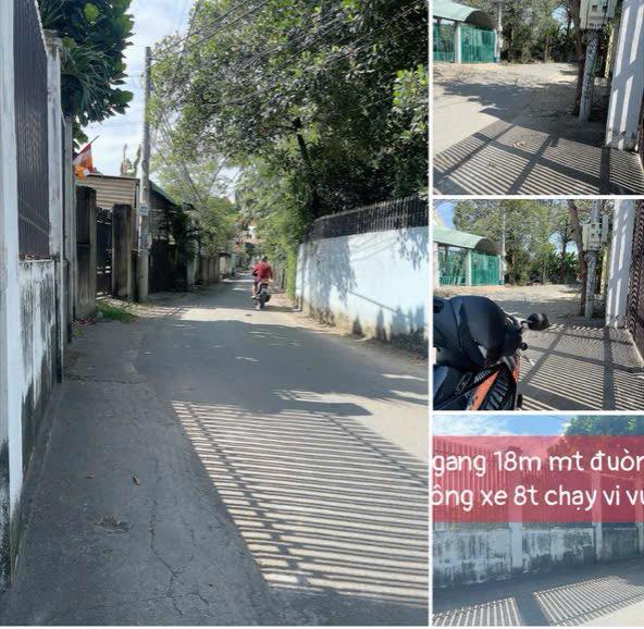 Bán Đất Vườn 560m² Mặt Tiền Đường Nhựa Tân An, Thủ Dầu Một - Giá Tốt