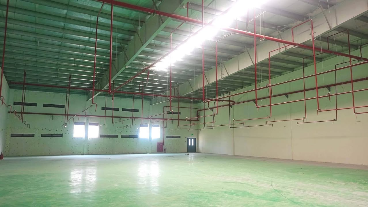 Cho thuê xưởng KCN TP Mới Bình Dương 1100m² - Sẵn sàng FDI