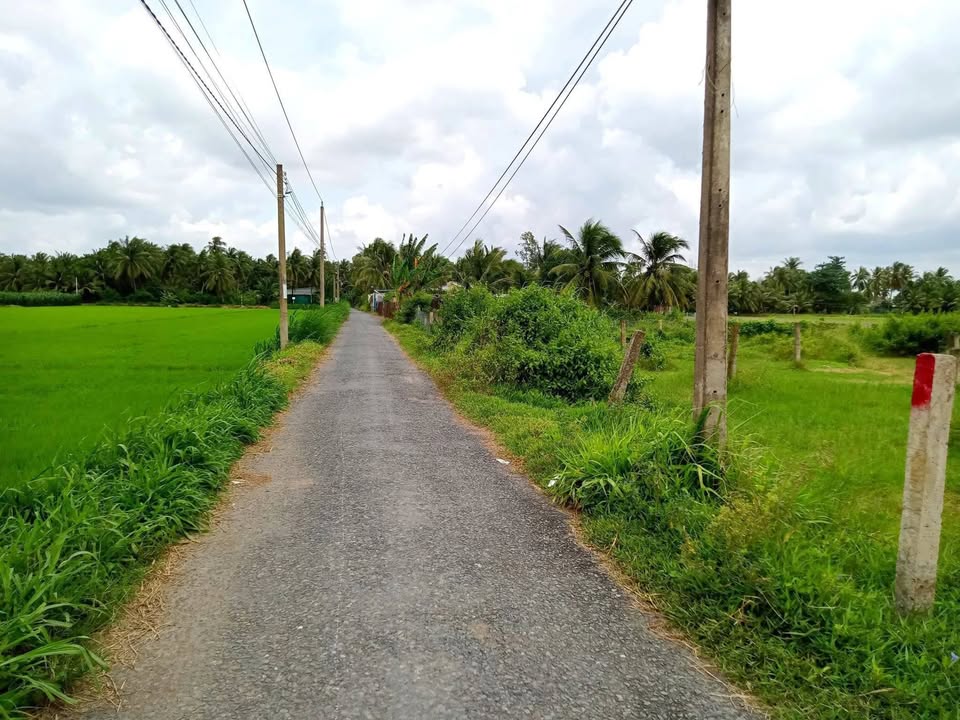 Đất Nền Hưng Hòa, Gò Công Tây - 224m² Sổ Đỏ Sẵn Sàng - 400 Triệu