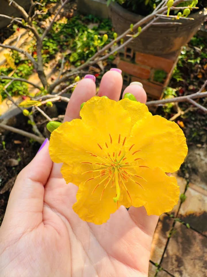 Đất nền An Cơ, Châu Thành 11000m² - Tiềm năng tăng giá vượt trội!