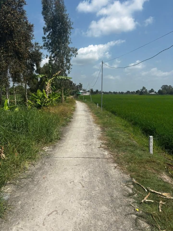 Bán Đất Vĩnh Hòa Hưng Bắc 1700m² Giá 300 Triệu - Sổ Đỏ Chính Chủ