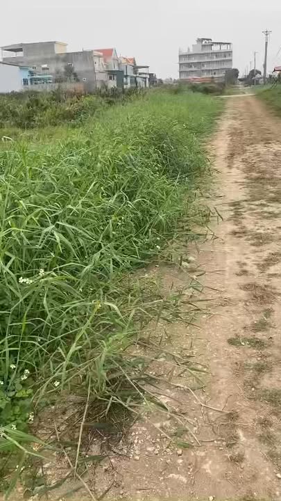 Đất Nền Thủy Nguyên, Hải Phòng - 200m² Mặt Tiền Rộng, View Hồ, Giá Tốt