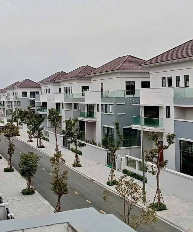 Biệt thự liền kề Saphiagem Thủy Nguyên 110m² - Vị trí vàng, giá đầu tư!