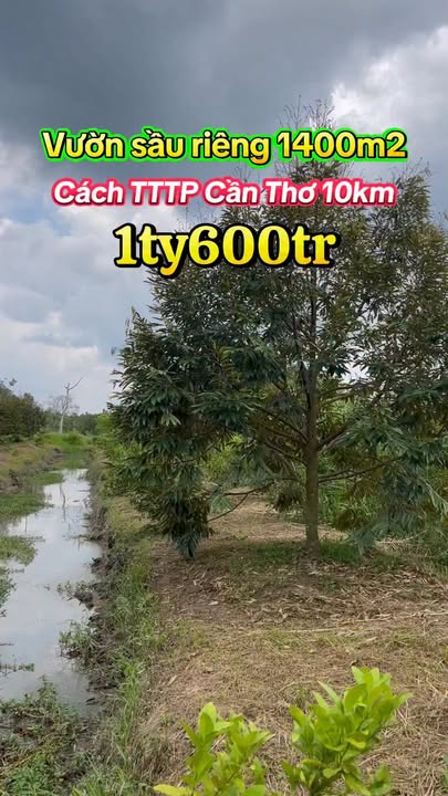 Đất Vườn Nhơn Nghĩa, Phong Điền 1400m² - Nghỉ dưỡng lý tưởng!