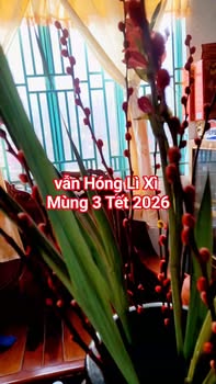 Bán đất 190m² MT Tô Vĩnh Diện, Ninh Kiều - Giá 2.1 tỷ, Nở hậu 10m